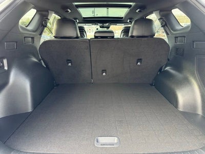 2023 Kia Sportage X-Pro