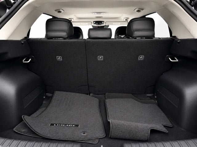 2024 Kia Niro EV Wave