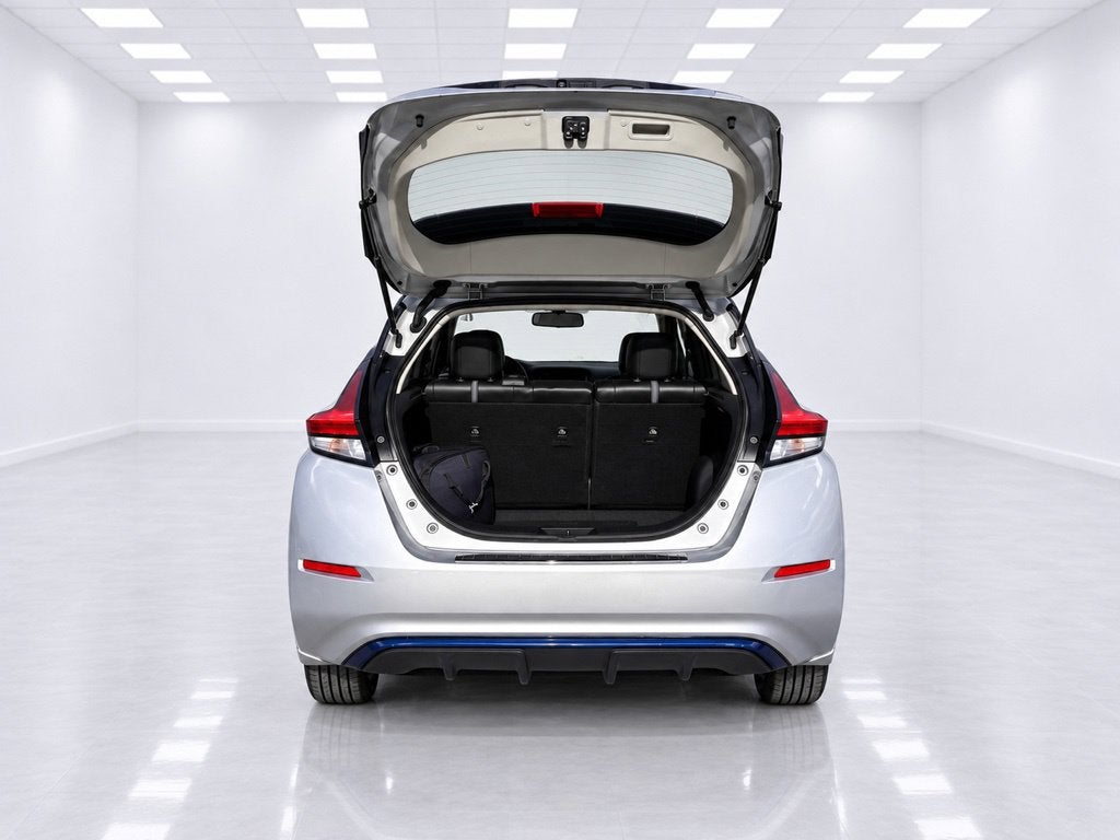 2019 Nissan Leaf SL Plus