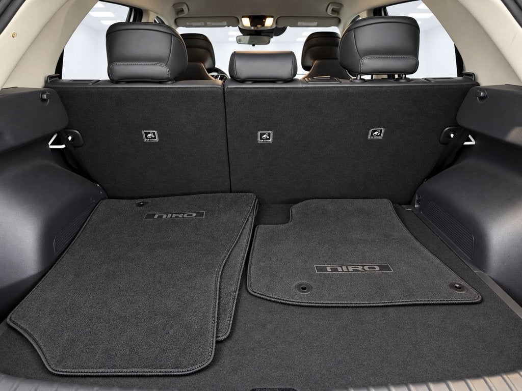 2023 Kia Niro EV Wind