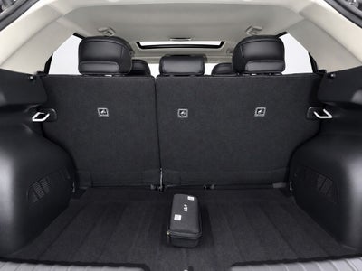 2024 Kia Niro EV Wave
