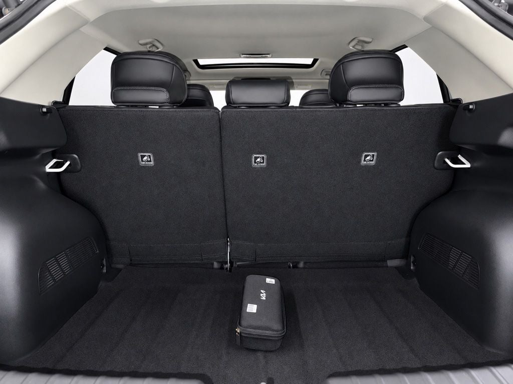 2024 Kia Niro EV Wave